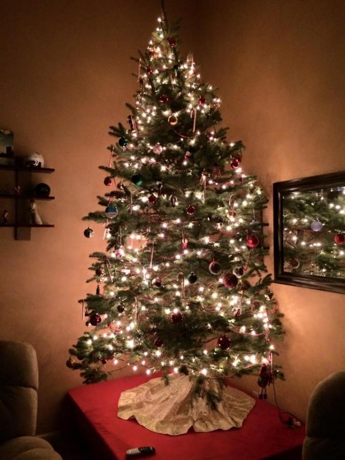 Many people prefer the scent and feel of a real Christmas tree.