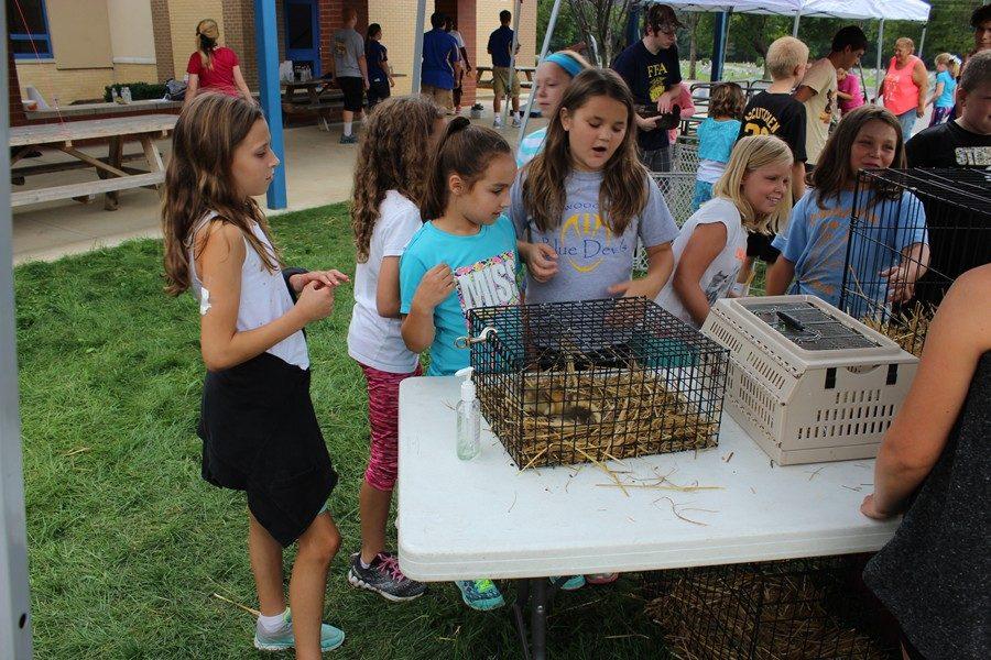 Myers+students+loved+the+petting+zoo+at+the+annual+Ag+Day.