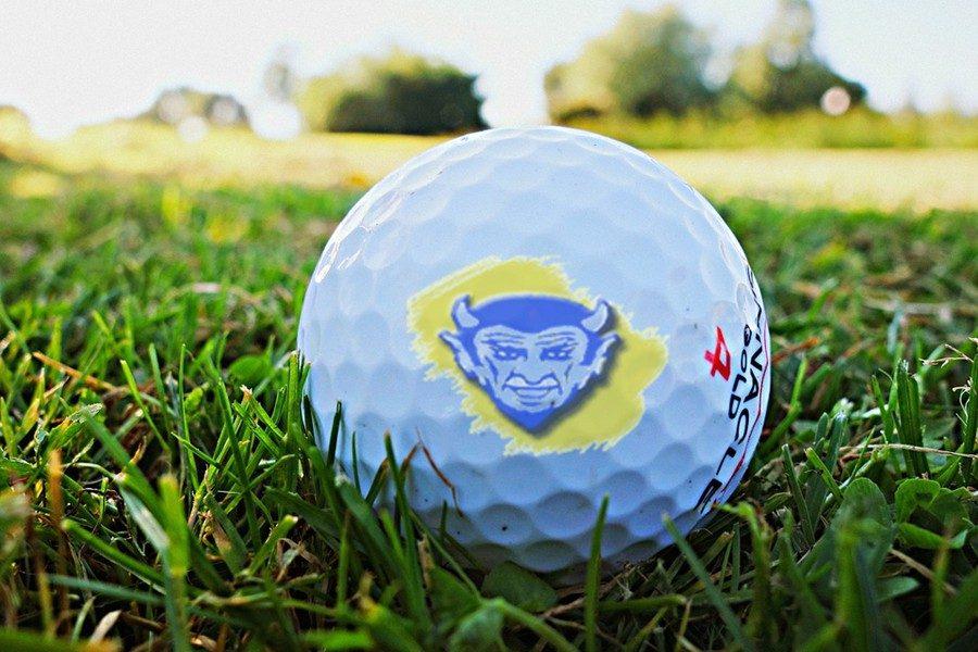 The+Blue+Devil+baseball+team+is+hosting+a+golf+tournament+in+next+weekend.