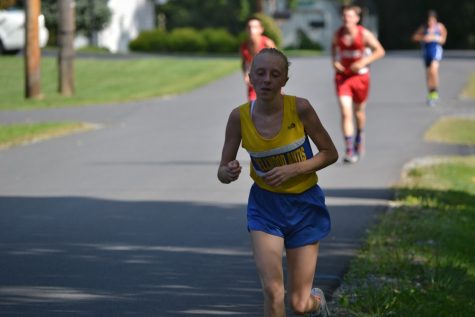 Sophomore Jenna Bartlett emerged as one of the cross country teams top runners this season.