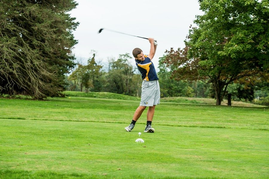 Colin McCaulley is hoping to advance to the PIAA golf meet.