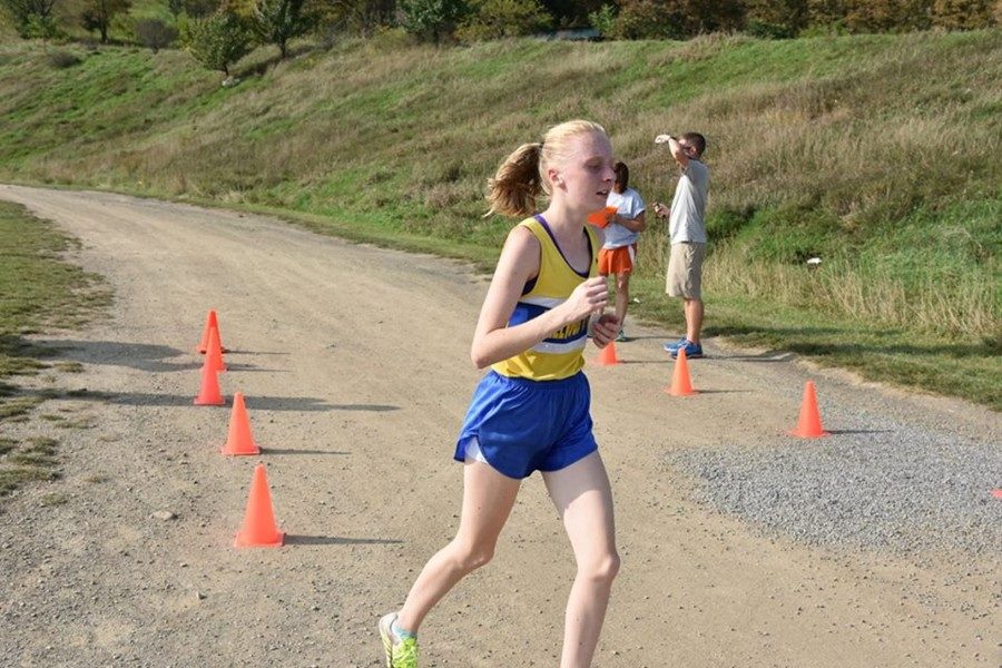 Jenna Bartlett finished second at the ICC cross country meet.
