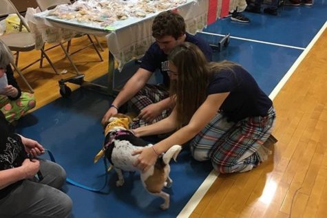 There were plenty of things to do at least years activity fair, perhaps none more popular than visiting the puppies from the Central Pennsylvania Humane Society.