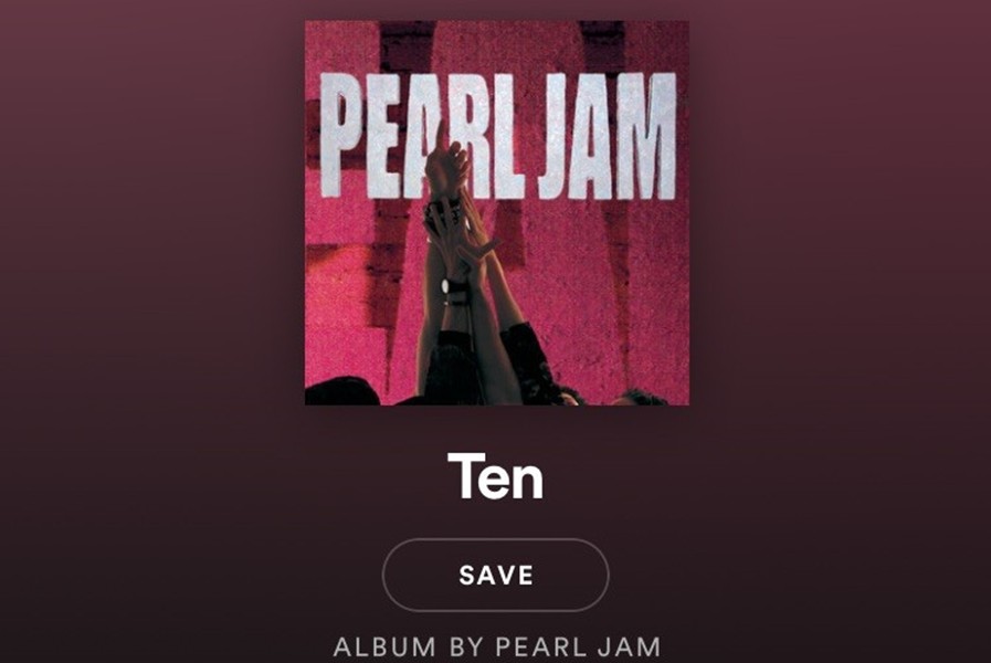 Peal Jam is just one great band that emerged from the 1990s.