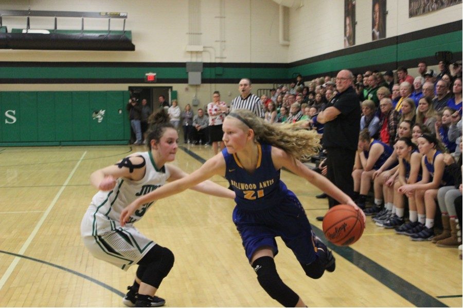 Sophomore Alli Campbell scored 25 against Blairsville, but the Lady Devils fell 44-37.