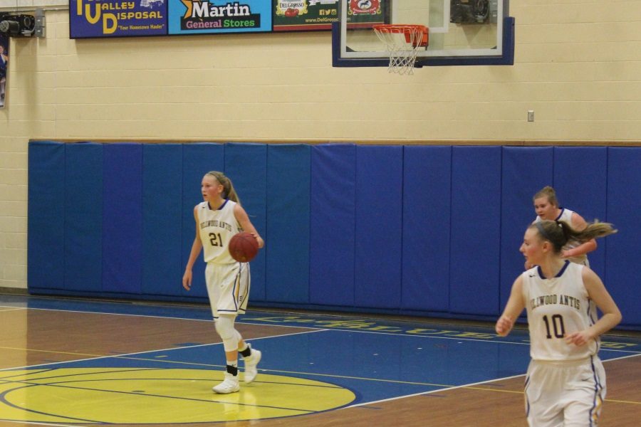 Alli Campbell played a big role in the Lady Blue Devils win over Kane