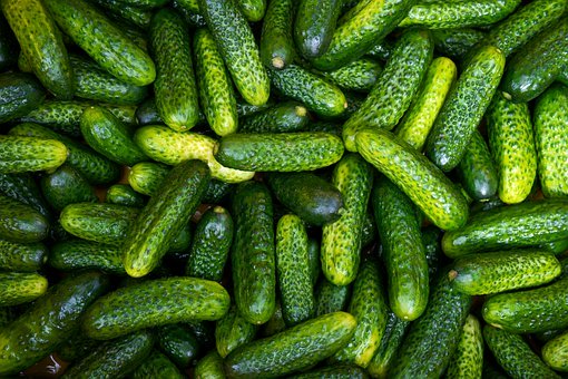 All meals at Bellwood-Antis School District are to be replaced with pickles, as of last nights school board ruling.