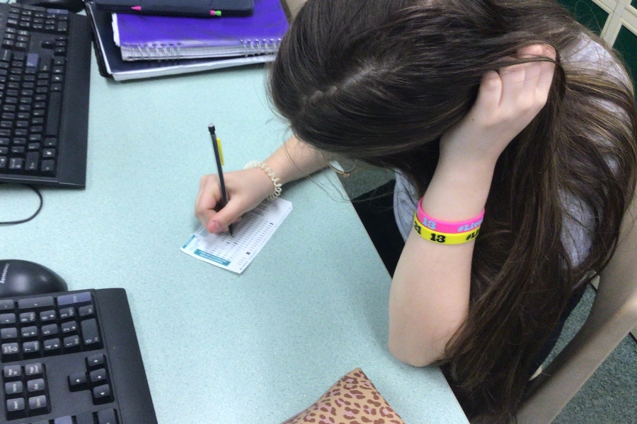 The days of hand-written standardized testing may be over for students at Bellwood-Antis.