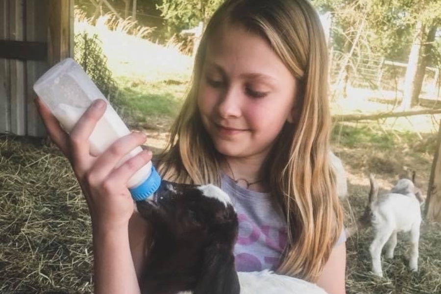 A young Sidney Davis feeds a kid. Her interest in raising goats began at a young age.