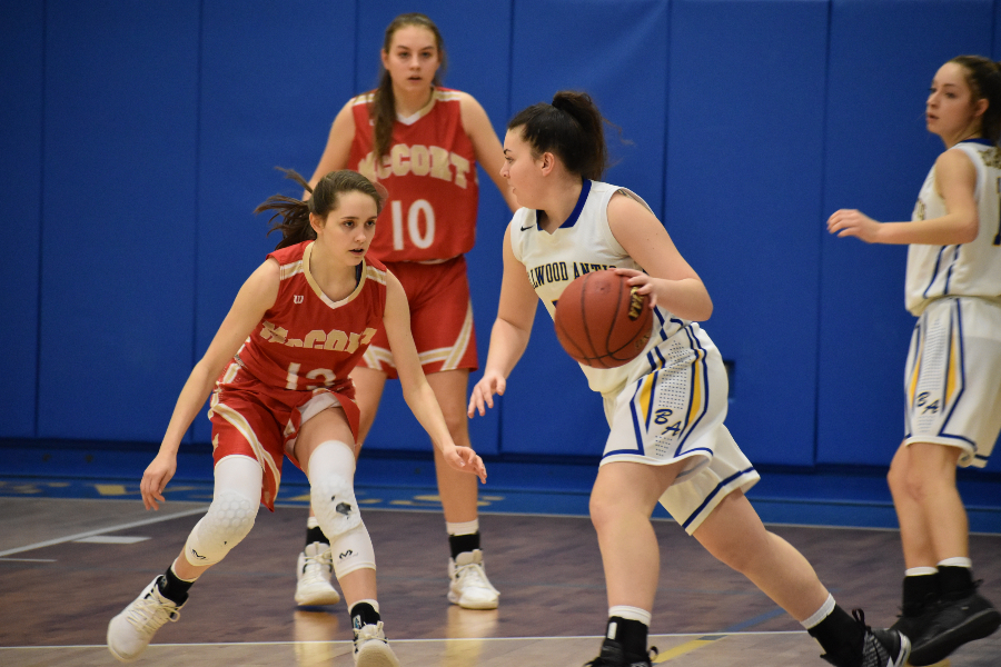 The Lady Devils basketball team has locked horns with the LHAC frequently, both in the playoffs and in competitive non-league games.
