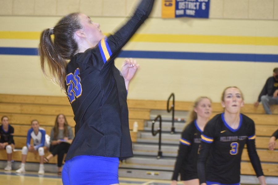 Hailee McConnel leads the volleyball team in assists and digs.