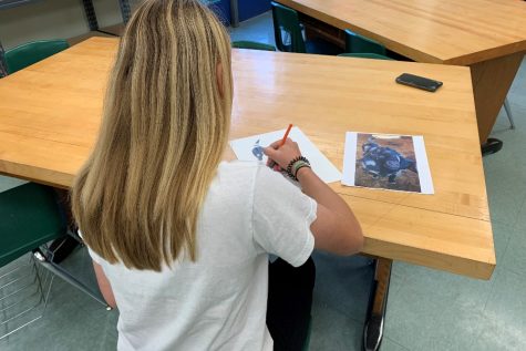 Sidney Davis works on a project in art class.