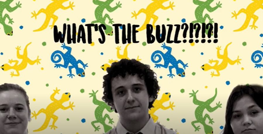 Get the latest BA news on Whats the Buzz?