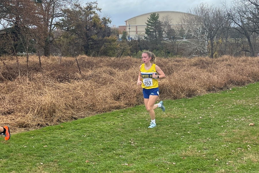 Lexi Lovrich came through with a top-20 finish at the PIAA meet last week.