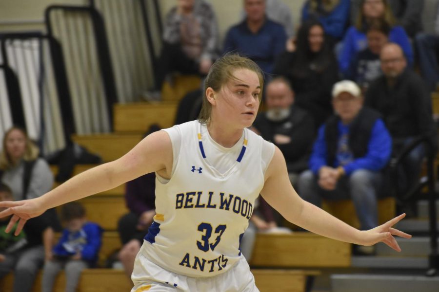 Alyson Partner had a big basket late for B-A but the Lady Devils still fell to Williamsburg at home.