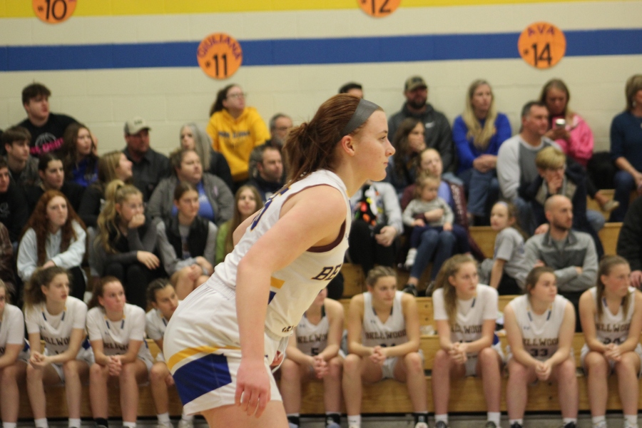 Lydia Worthing scored 20 points to lead Bellwood-Antis against Portage.