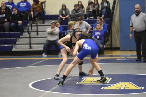 Ellie Patterson is a freshman wrestle who worked her way into the state tournament.