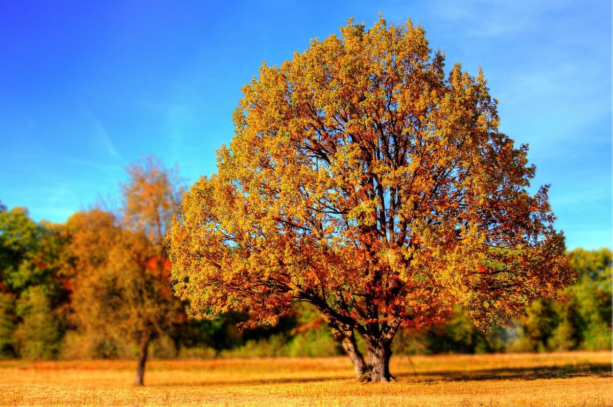 Get outside for the first day of fall!