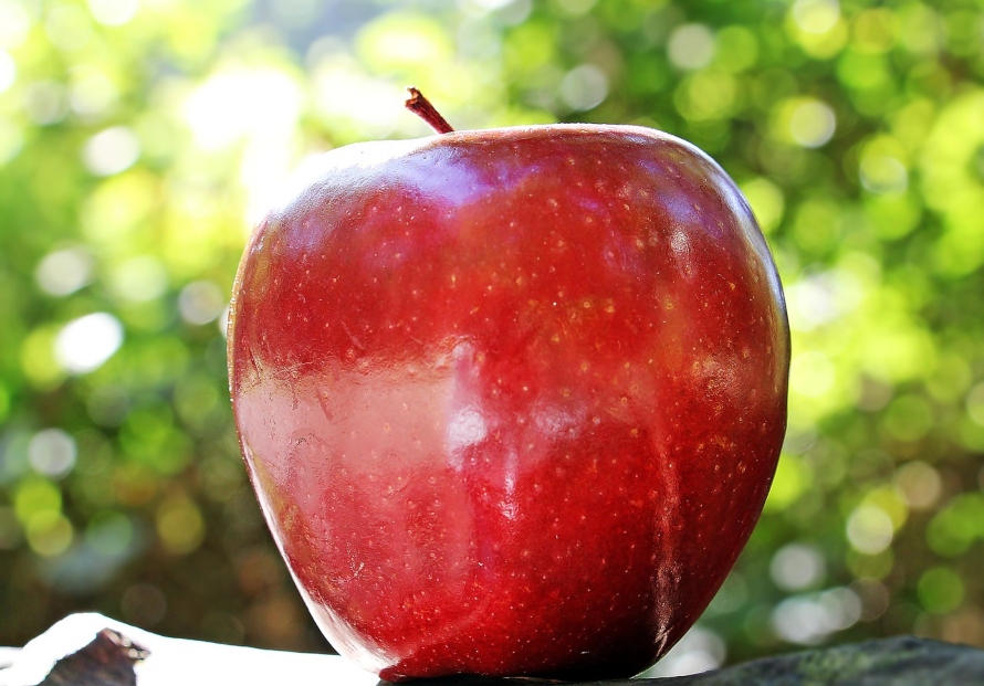 Today is National Apple Day