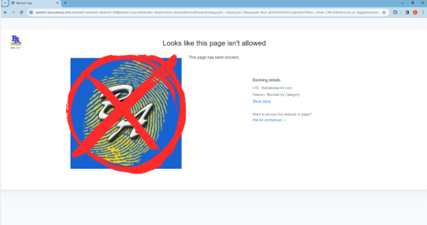 Chaos broke out among the BA Blueprint staff following website blockage.