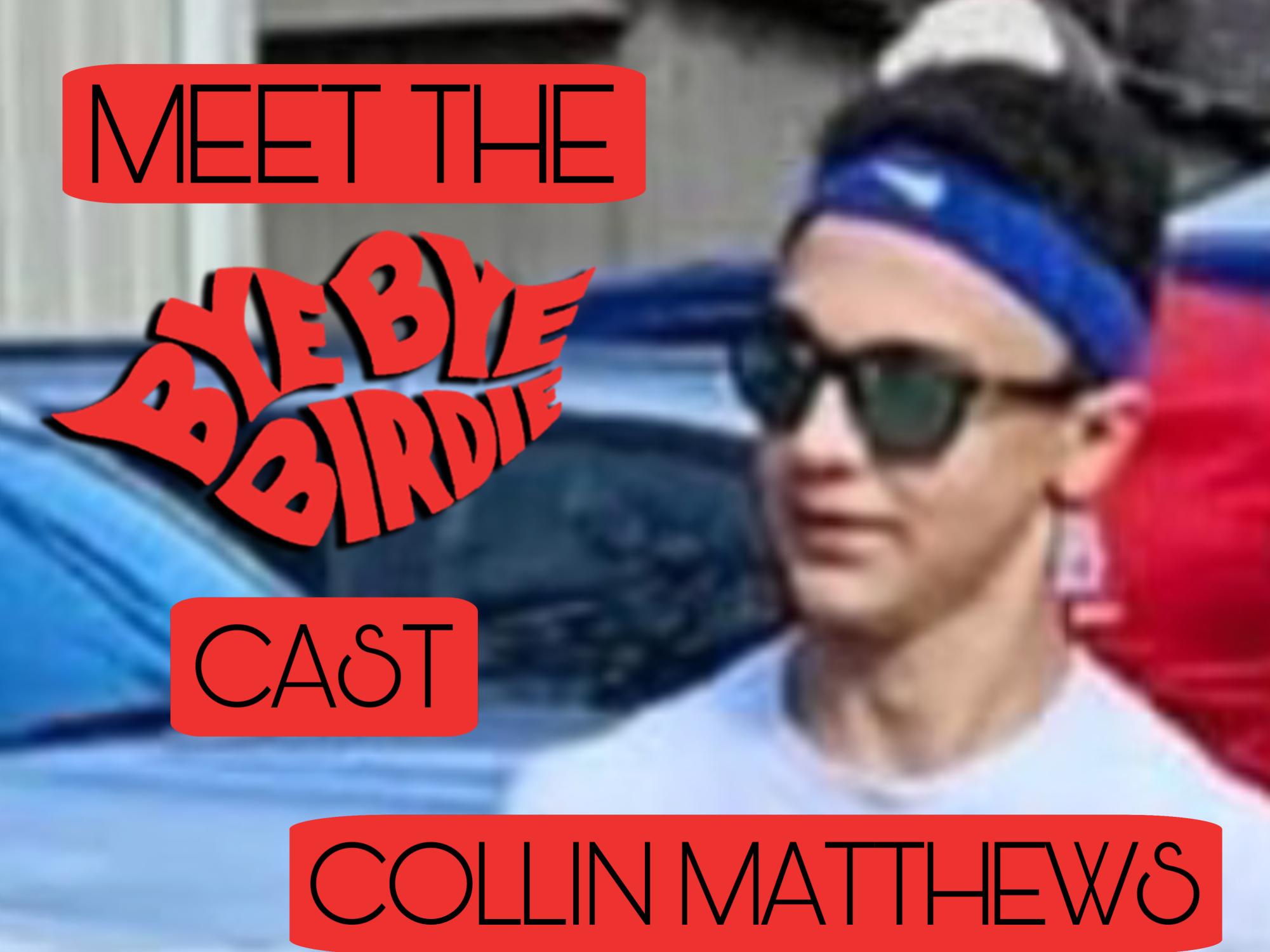 Meet the bye bye birdie cast collin matthews the blueprint