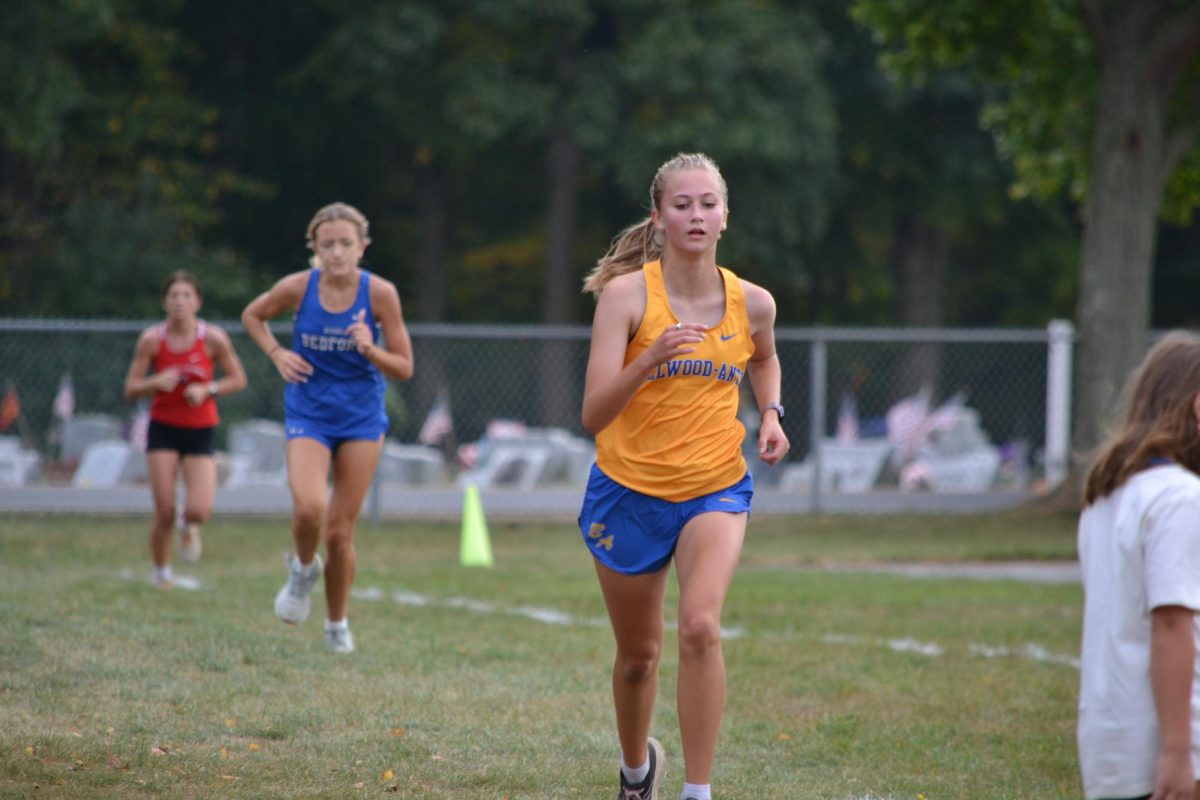 Julie Kraft finished first for the B-A girls cross country team yesterday in a tri-meet at Clearfield. Classmate Blake Pennington took second as the girls and boys harriers each split a pair of meets.