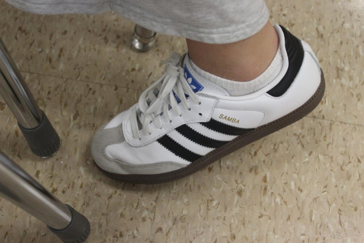 The Adidas Sambas, like these work by Karlie Sweigart,, have made another comeback in popularity this school year.