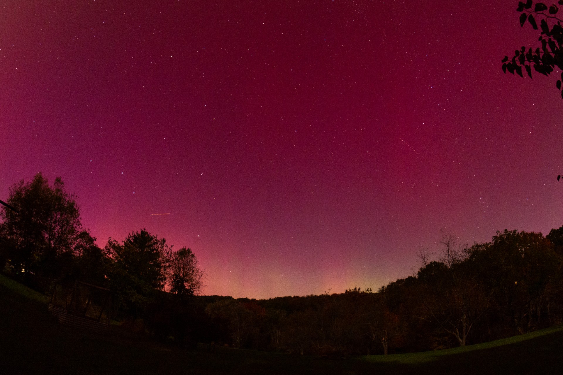 Northern lights in Bellwood