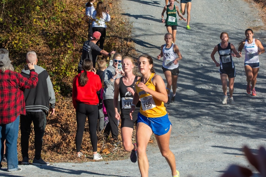 B-A Cross Country athletes compete in states