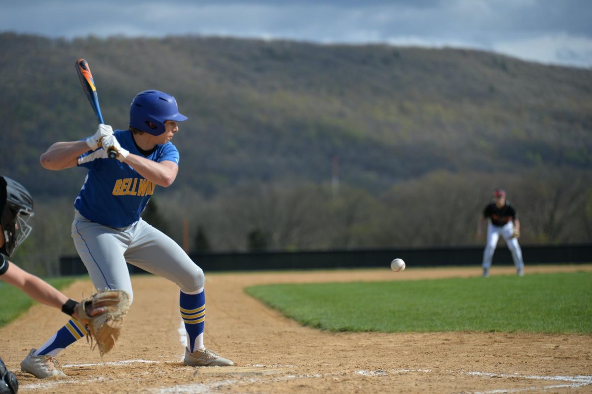 Matt Berkowitz hit .317 as a junior in spite of injuries, but he will be a pitcher when he plays at Mansfield.