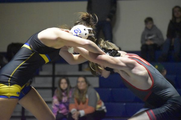 Junior Elliana Patterson is the lone returning starter for the Blue Devils wrestling team.