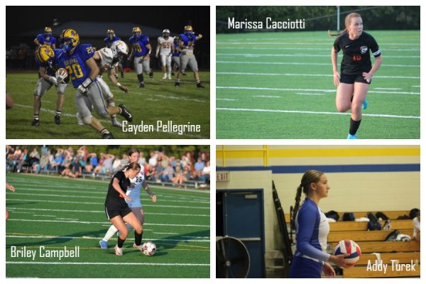 Blue Devils named to LHAC East Teams