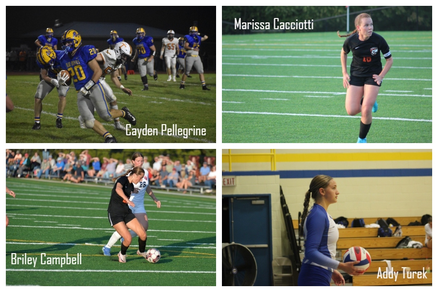 Blue Devils named to LHAC East Teams