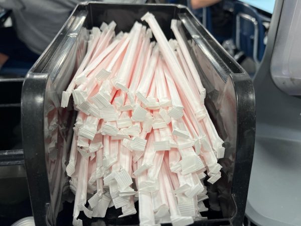 Plastic straws are tough on the environment, but few schools have made a move to paper ones.