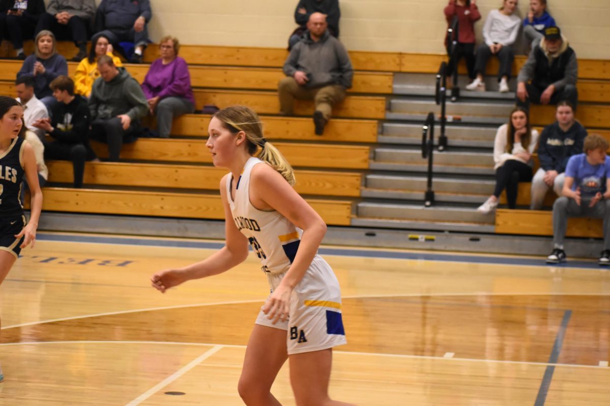 Junior Lily Gerwert had a career game in the District 6 2A consolation game, scoring 29 points and ripping 20 rebounds against Southern Huntingdon.