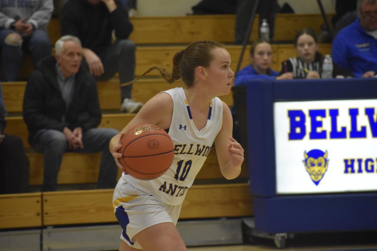 Marissa Cacciotti had 9 for B-A in a loss to Berlin Brothersvalley that dropped the Lady Devils out of the playoffs.