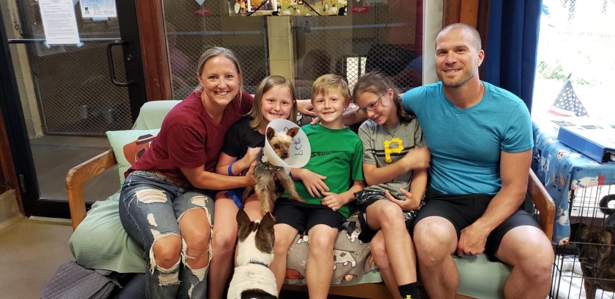 Mr. Naylor and his family rescued a Yorkie named Peter in 2019 from an animal shelter in State C ollege called Pets Come First.