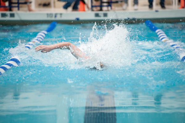 Chase Gallagher sprints the 50 yard freestyle in the PIAA District 6 Championship