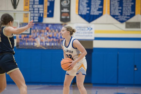 Lady Devils senior night 2-2-2026